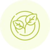 https://www.biotechprocleaners.com/wp-content/uploads/2024/04/plantmatters-160x160.png